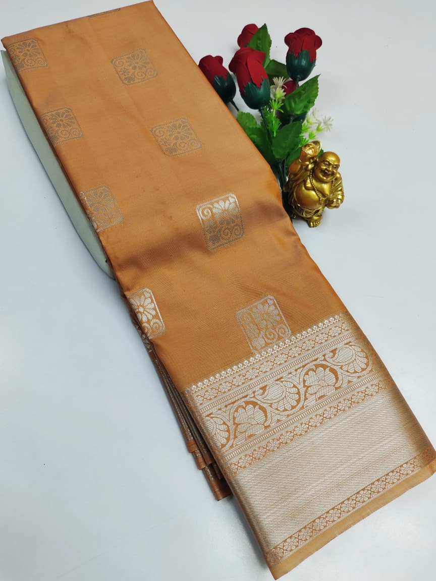 Kanchipuram Semi Soft Silk Saree Collection